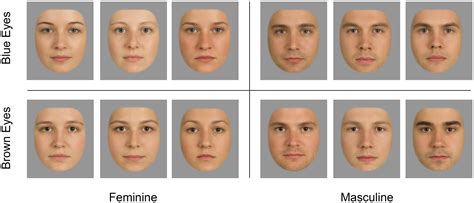 Face test. Things To Know About Face test. 